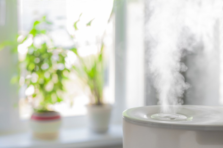 Humidifier near a window with house plants in the background.