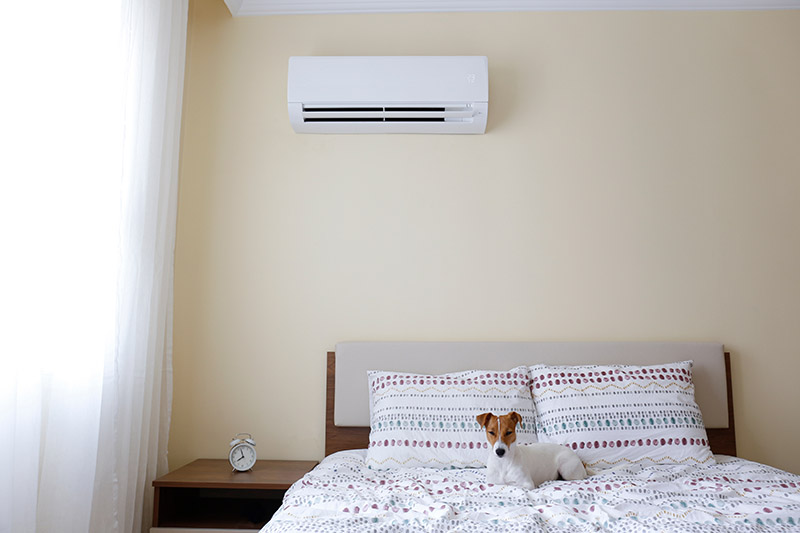 Pet Owner A/C Tips