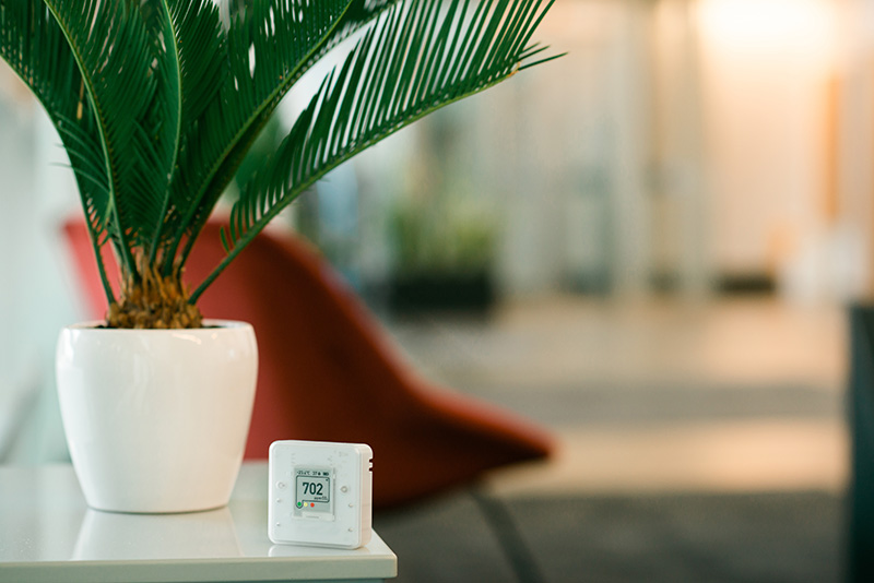 Air quality monitor and indoor plant