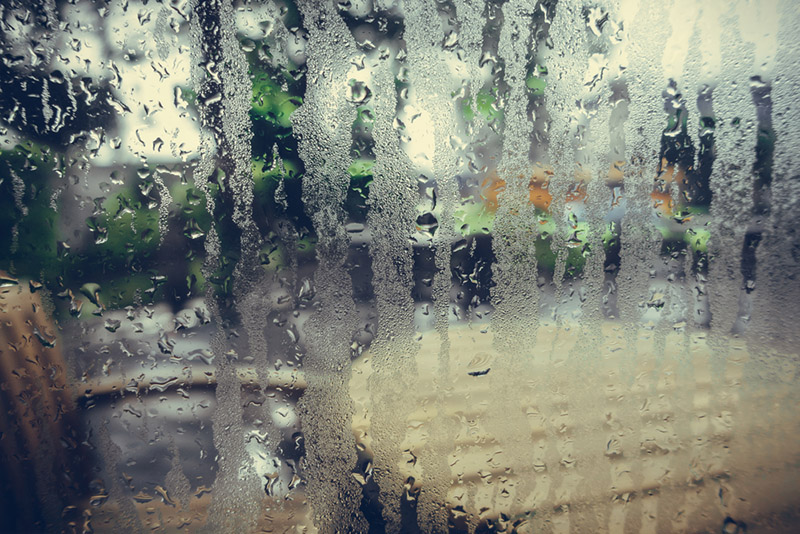 Why Too Much or Too Little Humidity is Bad for Your Home