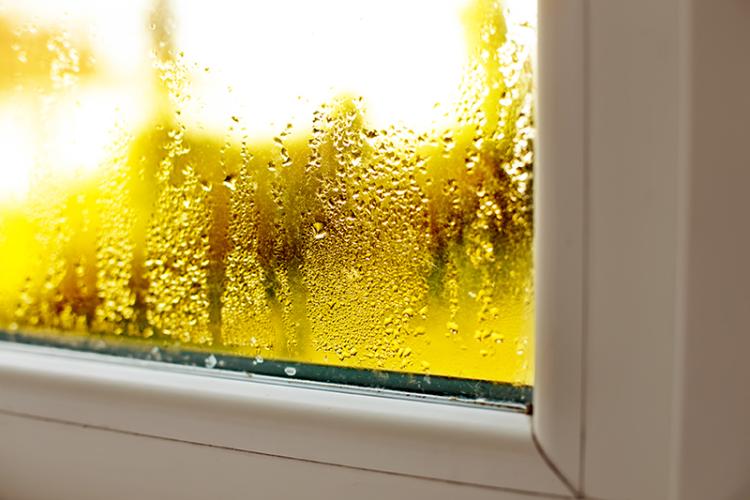 Maintain The Humidity In Your Home This Fall Season