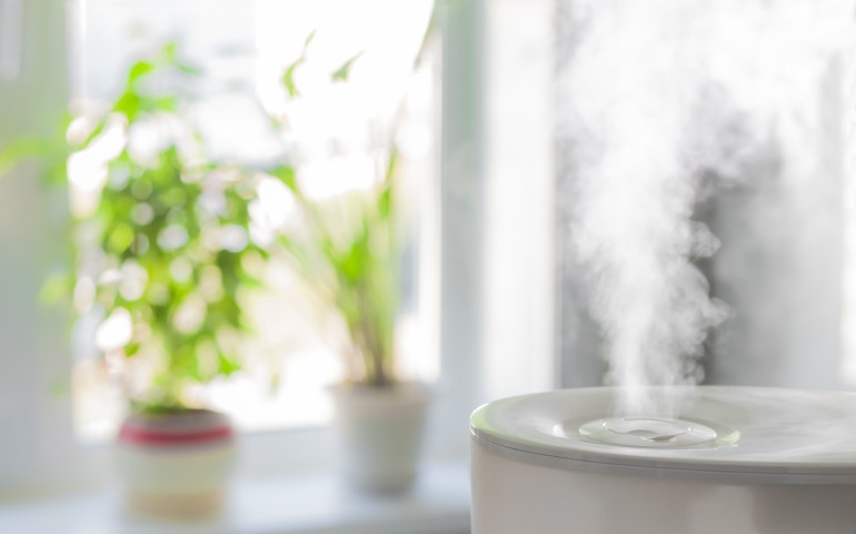 Humidifier near a window with house plants in the background.