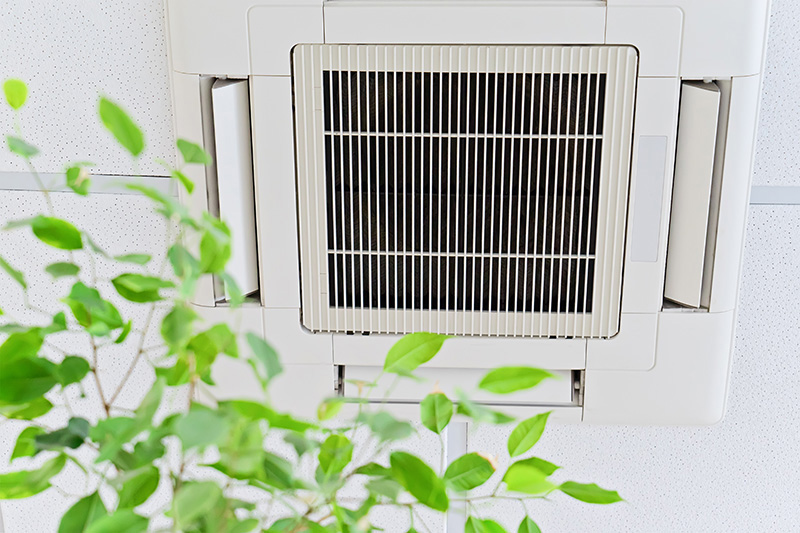 Indoor Pollutants