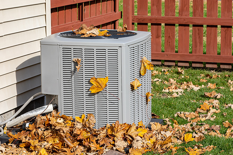 Fall Maintenance
