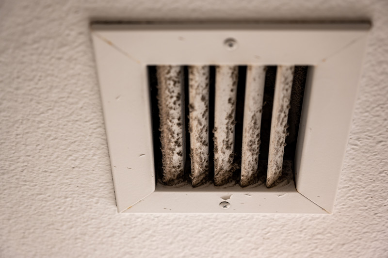 Mold in a HVAC system in a house.