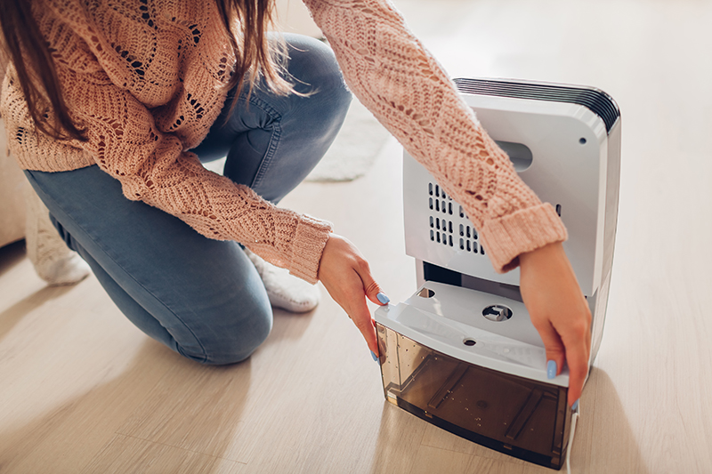 Woman emptying dehumidifier.