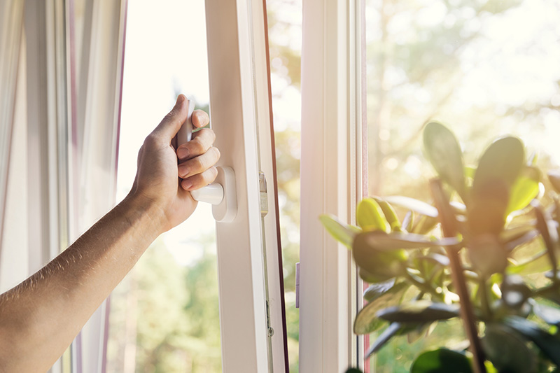 Person's hand opening a window with a houseplant next to it.